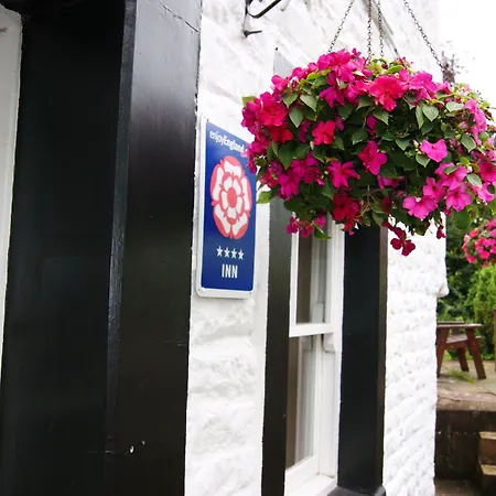 Royal Oak