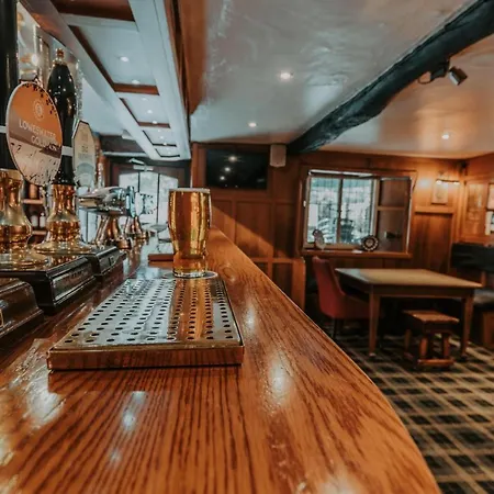 Мини-отель Royal Oak 4*